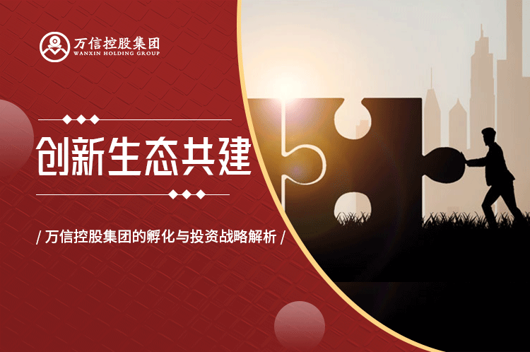 创新生态共建：广发体育的孵化与投资战略解析