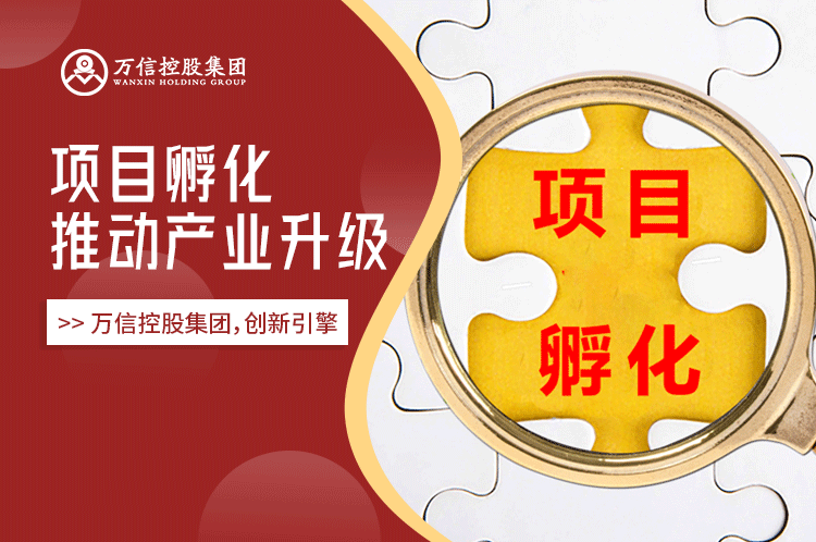 创新引擎：广发体育创新引擎如何通过项目孵化推动产业升级